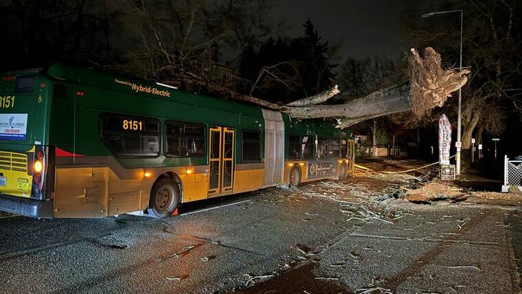 KEITH HIGGINS VIA REUTERS
A fallen tree lays on a bus, due to a storm, called a bomb cyclone, that hit the Pacific Northwest and western Canada, causing power outages in Washington, Oregon, California and British Columbia while wreaking havoc on road travel, in Seattle, Wash., on Tuesday, in this picture obtained from social media.