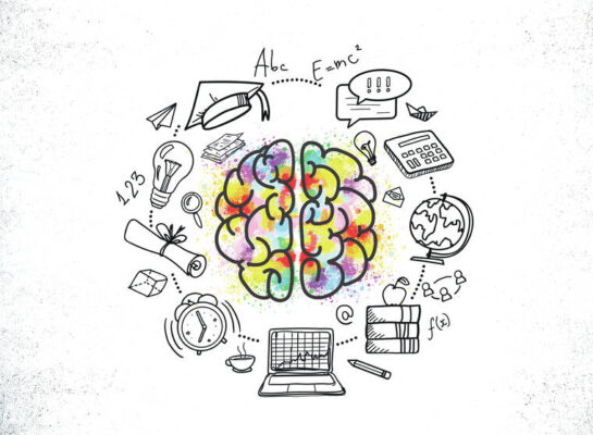 Facts of the Matter: There are many ways to tap brain’s web of information